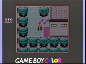 Pokémon Gold