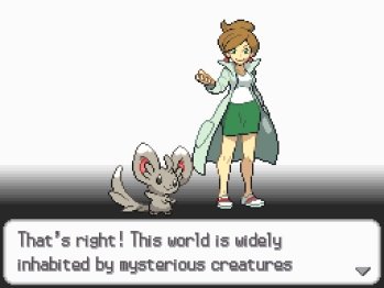 Pokémon Black Version